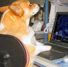 David Daugherty Photo 37 David Daugherty Photo 37