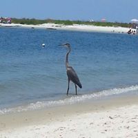 Pamela Childers Photo 11