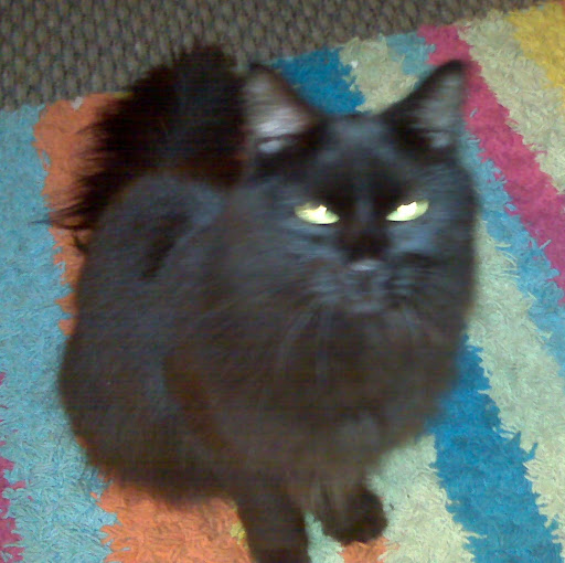 Stephanie Moon Photo 13