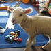 Bruce Lamb Photo 23
