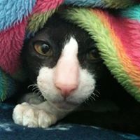 Rebecca Gatlin Photo 9