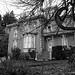 Elizabeth Moyer Photo 20