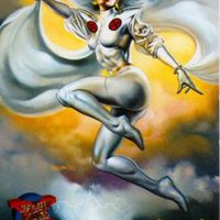 Susan Storm Photo 16