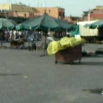 Daniel Becher Photo 4