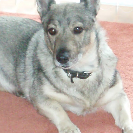 Cynthia Kirk Photo 41