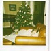 Rebecca Carlson Photo 31