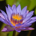 Jenny Bloom Photo 26