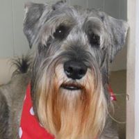 Jocelyn Simon Photo 12