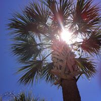 Randall Miller Photo 38