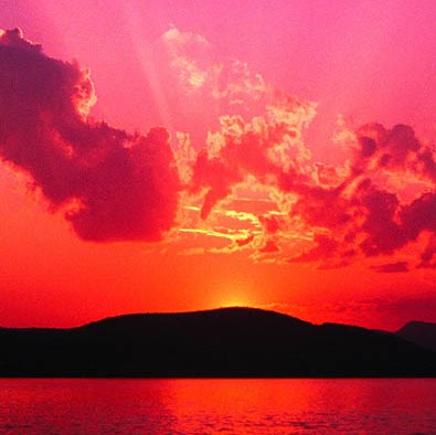 Michaela Krause Photo 6