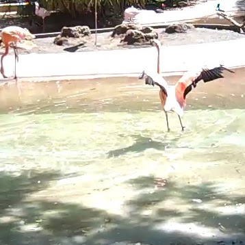 Sandra Hardin Photo 26