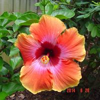 Deborah Gannon Photo 20