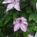Christopher Moser Photo 35