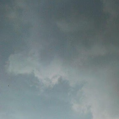 Andrew Norris Photo 11