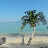 Angela Truman Photo 15