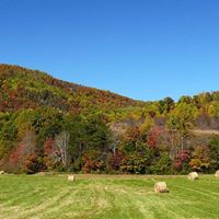 Don Shoemaker Photo 19