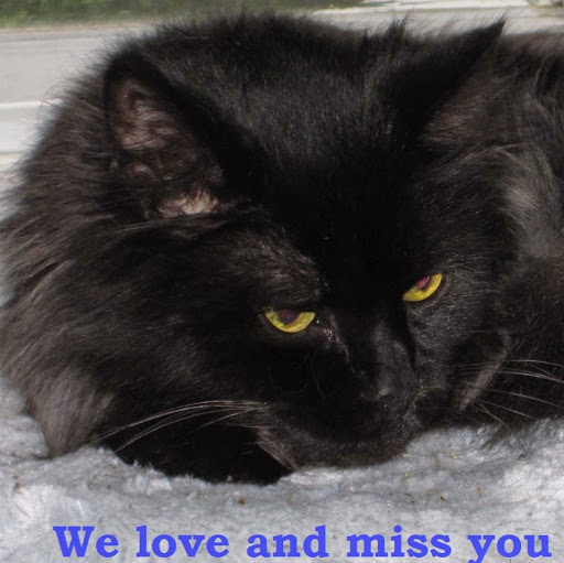 Dorothy Griffith Photo 30