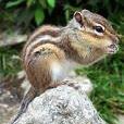 Deborah Hager Photo 24