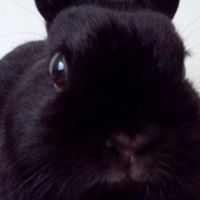 Catherine Bullock Photo 11