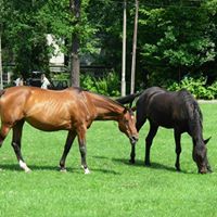 Tracy Layton Photo 24