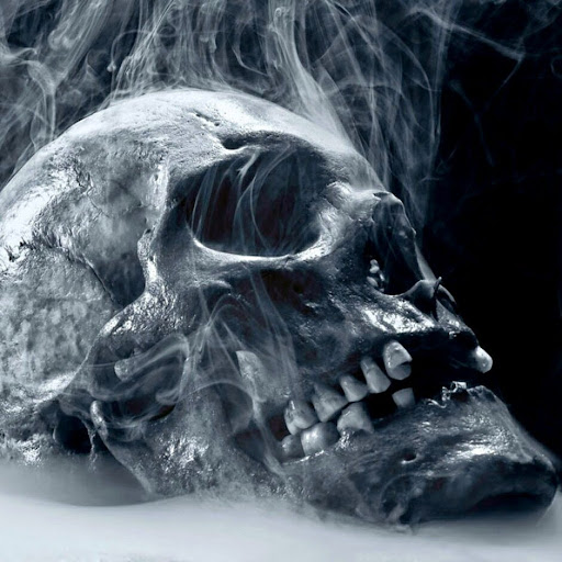 Sean Heath Photo 36 Sean Heath Photo 36