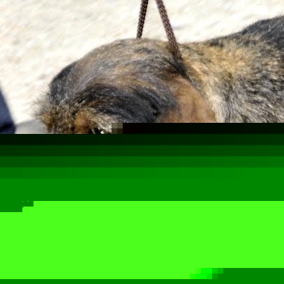 Werner Herrmann Photo 4 Werner Herrmann Photo 4