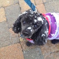 Sarah Peirce Photo 27