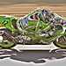Thomas Hatch Photo 10