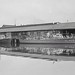 Allan Palmer Photo 22
