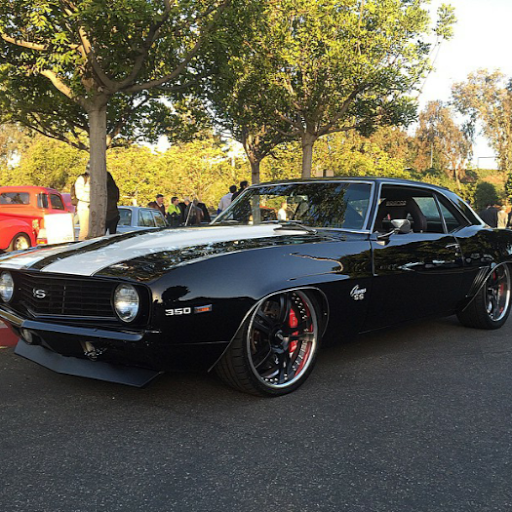 Austin Potter Photo 11