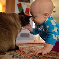 Stephanie Fry Photo 19