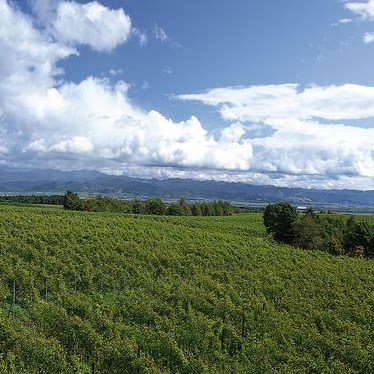 Mark Quinn Photo 44 Mark Quinn Photo 44