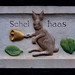 Mark Haas Photo 17