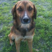 Andres Martin Photo 15