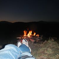 David Langley Photo 42