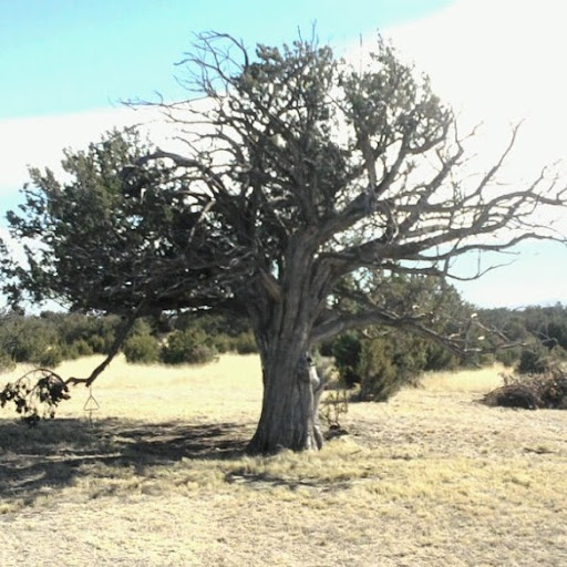 David Rosser Photo 45