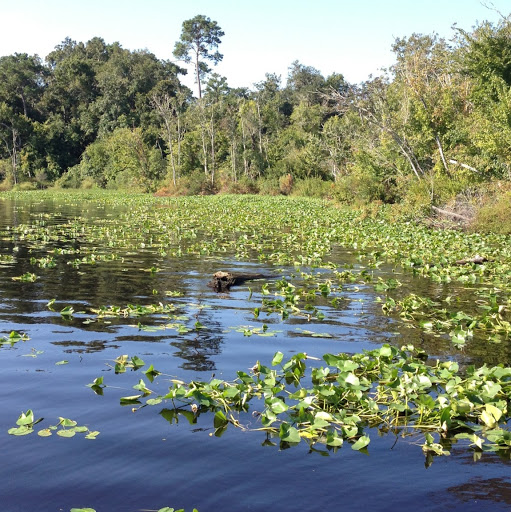 Janice Travis Photo 6