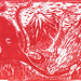 Lino Elk Photo 16
