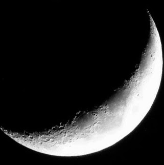 David Masters Photo 47