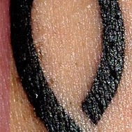 Joseph Campbell Photo 58