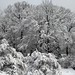 Christopher Winters Photo 25