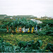 Miguel Cardo Photo 4
