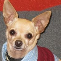 Linda Albright Photo 6