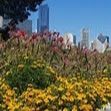 Suzanne Clark Photo 10