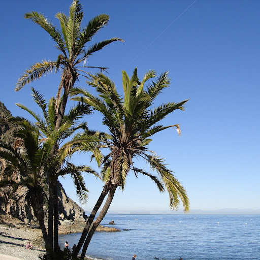 Kristen Gibbs Photo 4