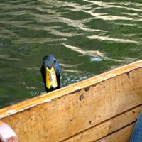 Raymond Russell Photo 32