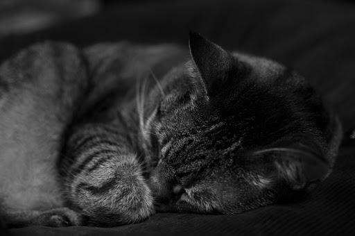 Cathy Stack Photo 15