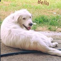 Candice Jordan Photo 20