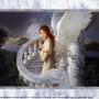 Ann Palmer Photo 4