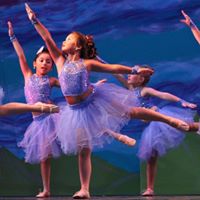 Chi Ho Photo 27 Chi Ho Photo 27